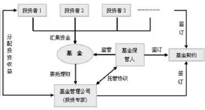 基金理财知识，新手应该怎么投资基金(2024年09月19日)